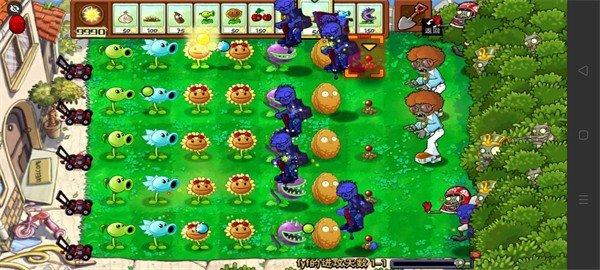 植物大战僵尸B版支线