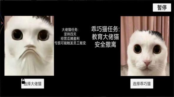 猫猫惊魂夜游戏