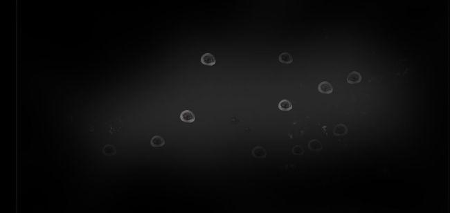 釜中游鱼游戏(SEALED)截图1