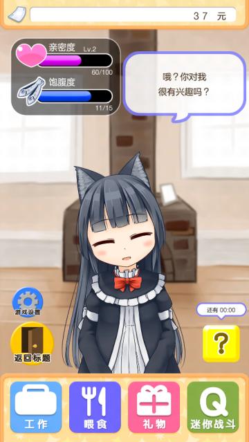 与小猫在一起游戏