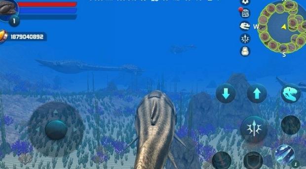 水生动物模拟器游戏 水生动物模拟器游戏