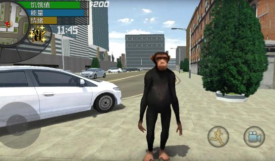 自由世界大冒险