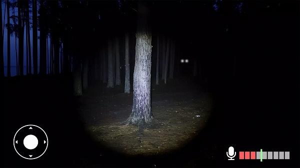 永远不要尖叫游戏(Never Scream)(Never Scream)