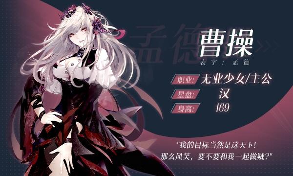 孟德大小姐与自爆少年手游