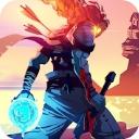 死亡细胞Dead Cells