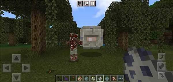 我的世界字字落实模组版