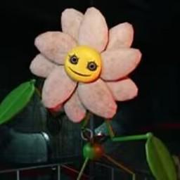 波比的游戏时间第四章