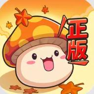 冒险岛：联盟的意志