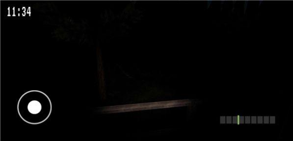 夜间不要尖叫游戏汉化版(Don)(Don)