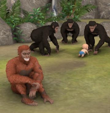 猿的进化Ape Evolution 猿的进化Ape Evolution