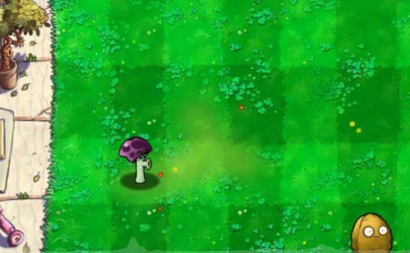 胆小菇之梦游戏