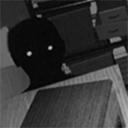 寻找伪人下载安装