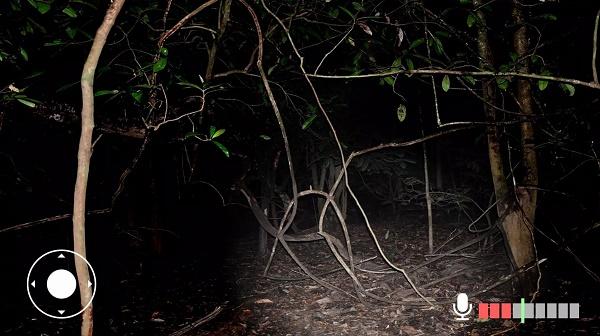 永远不要尖叫游戏(Never Scream)(Never Scream)