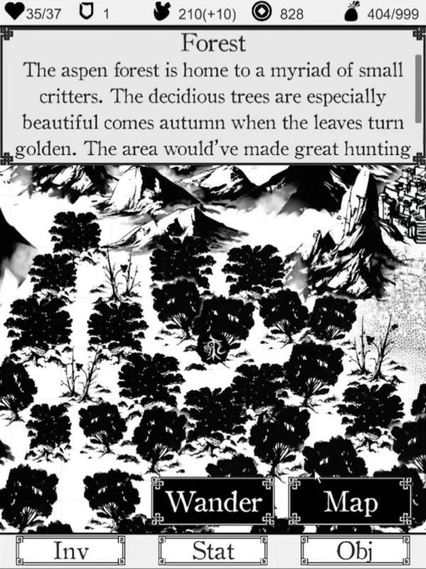 生命的流浪者WandererofLifetimesWandererofLifetimesWandererofLifetimes