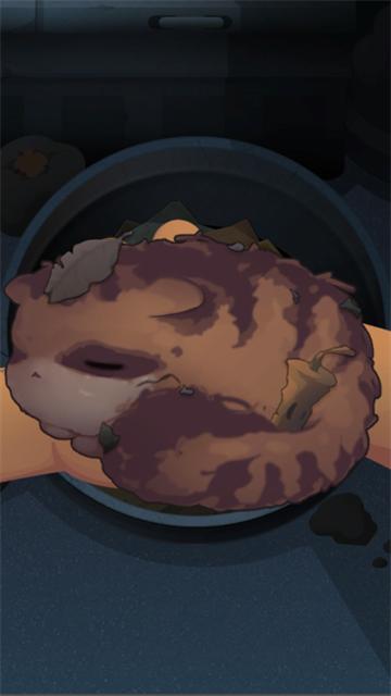 猫猫学园正版下载