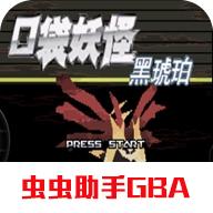 口袋妖怪黑琥珀