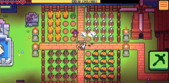 浮岛冒险双人正式版