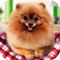 宠物狗生活模拟游戏