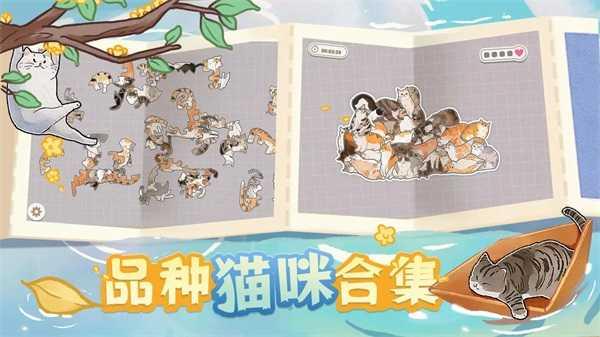 挤在一起的猫猫游戏截图1