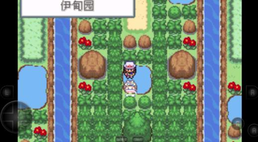 口袋妖怪火红 口袋妖怪火红