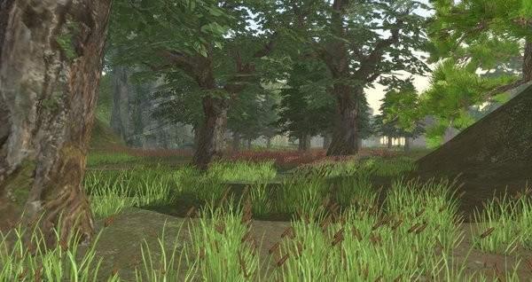 我穿越到灵界测试服最新版