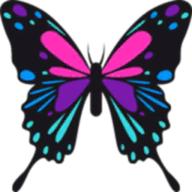 流星蝴蝶剑联机优化版