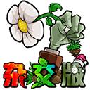 植物大战僵尸杂交版2.4