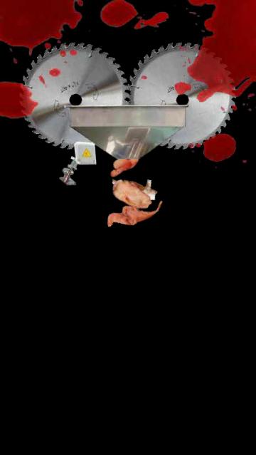 养只小黄鸡游戏(Can Your Pet)