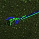 生存战争2武侠版本下载安装