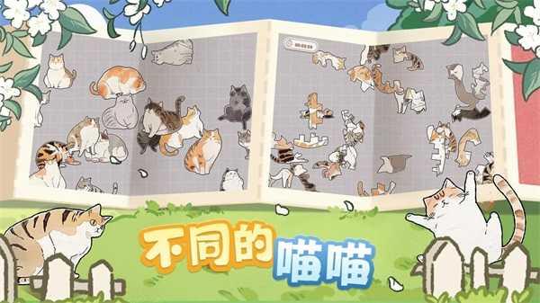挤在一起的猫猫游戏截图0