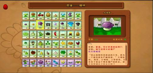 植物大战僵尸年