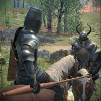 骑战烈火之剑2024