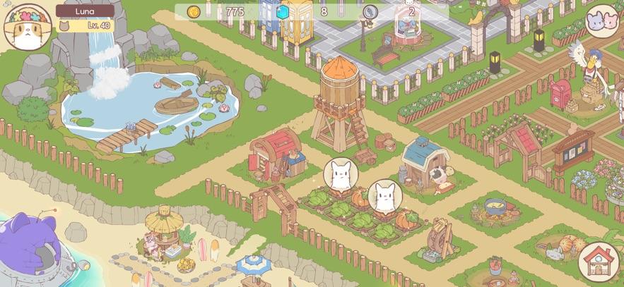 猫之汤软绵绵小镇