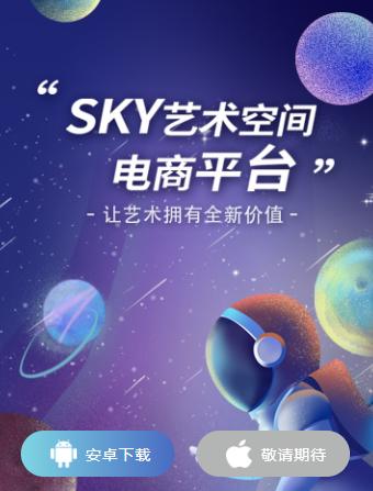 SKY艺术空间app SKY艺术空间app