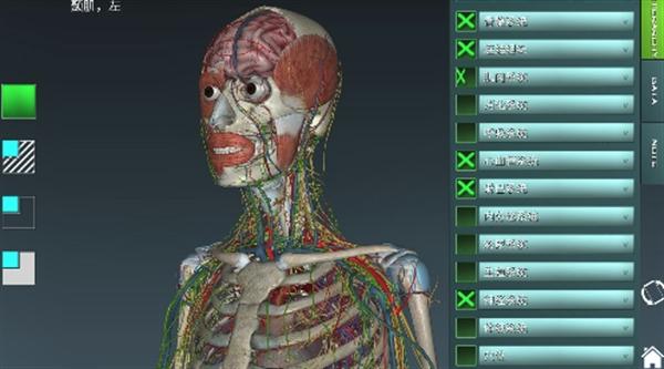 人体解剖学图集app