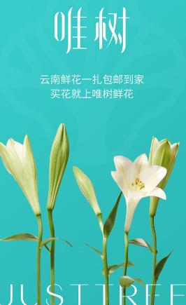 唯树鲜花app 唯树鲜花app