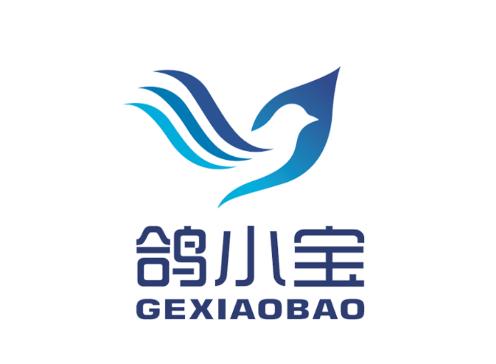 鸽小宝app 鸽小宝app