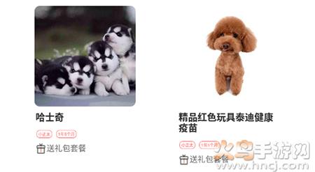 淘宠网app宠物猫狗交易平台