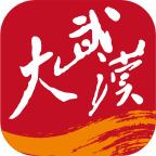 大武汉app