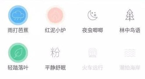 森林睡眠app脑波音乐