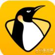 企鹅体育app