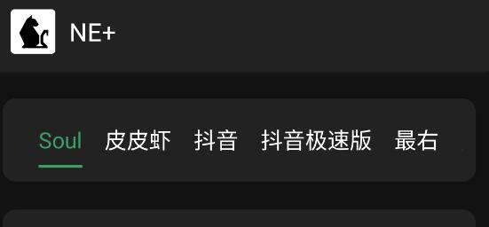 NE+模块 NE+模块