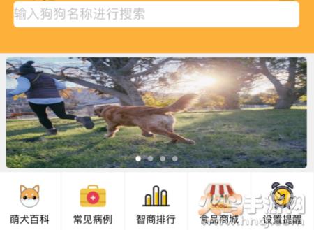宠物家app