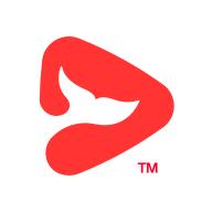 锦书在线app下载