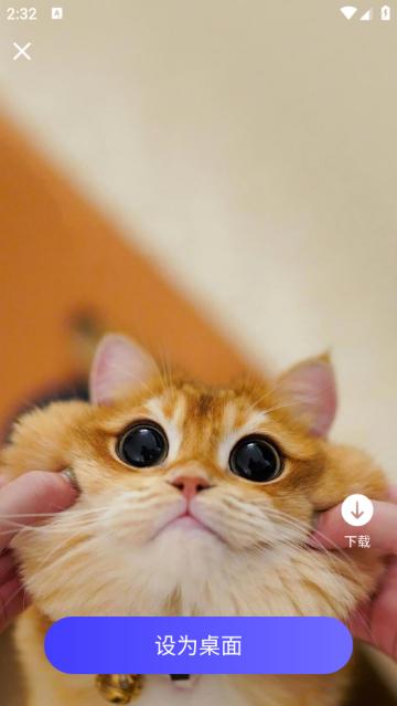 萌绘壁纸app
