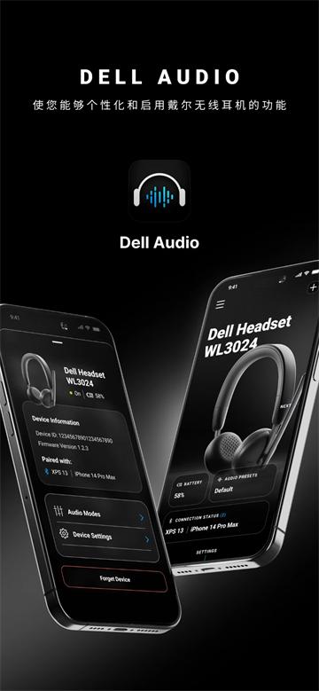 Dell Audio 软件