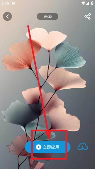 免费壁纸精灵最新版