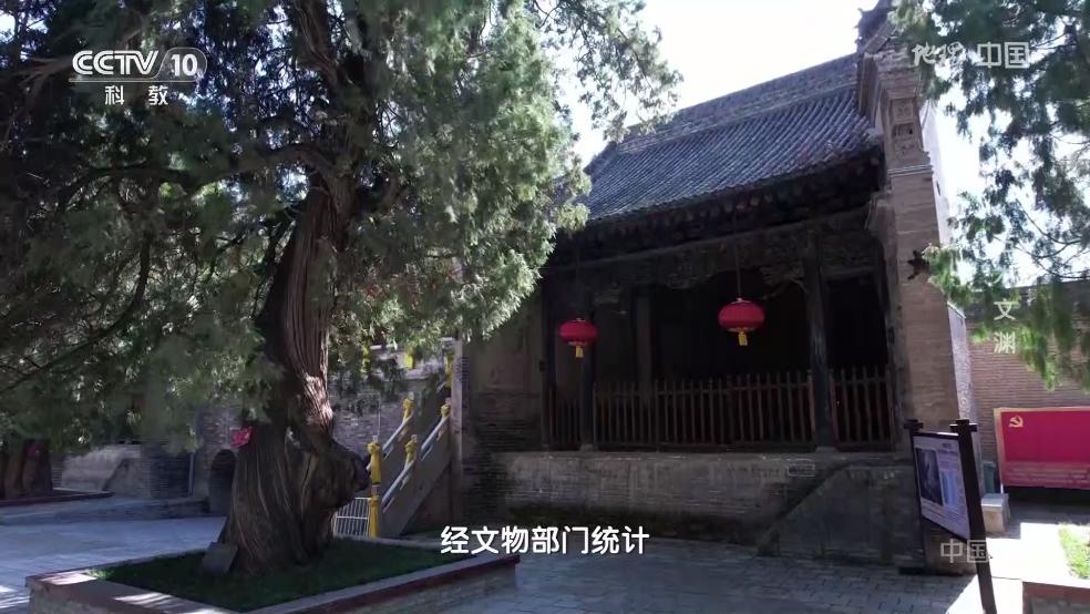 魄狼TV电视直播截图1