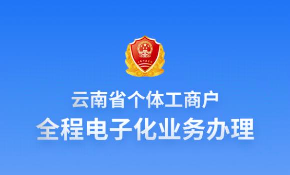 云南个体全程电子化app下载