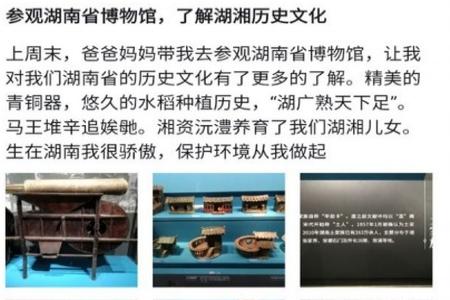 中南综合素质评价最新版app